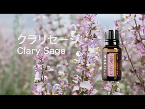 クラリセージ - doTERRA TIMES