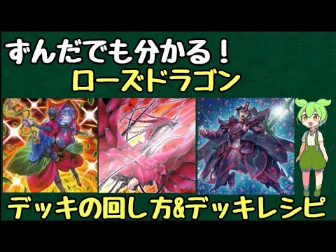 ずんだもん解説】展開ルート4パターン解説!ローズドラゴンのデッキ