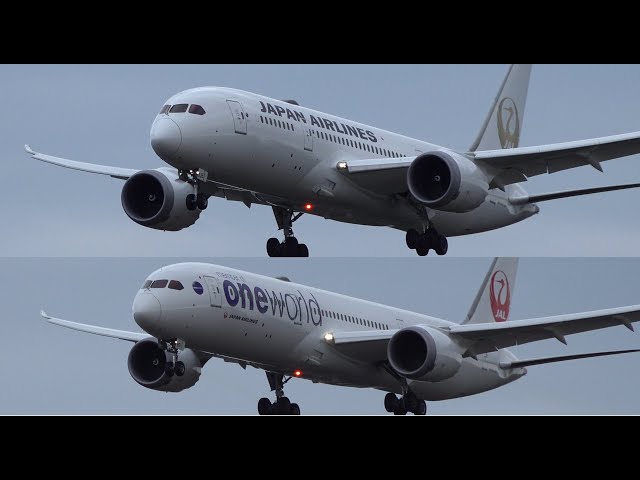 JAL 金の鶴丸とワンワールド塗装の787 | Golden Tsurumaru | Oneworld