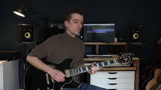 Don't Take Me Alive - Steely Dan - Intro Solo Guitar Cover : r