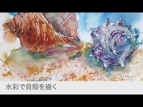 透明水彩で貝殻を描く - YouTube