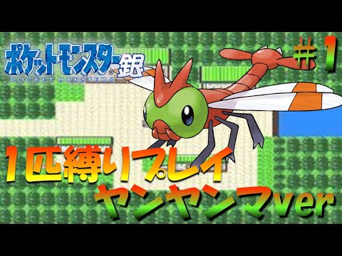 箱なし】ヤンヤンマ 初期 ポケモン 金銀 モンコレ 箱なし】ヤンヤンマ