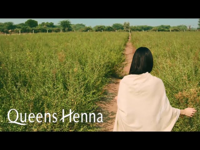 Queens Henna クイーンズ ヘナ - YouTube