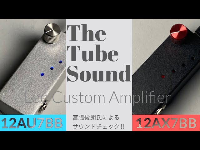 本物の真空管サウンド】プロ御用達のブランド Lee Custom Amplifier の