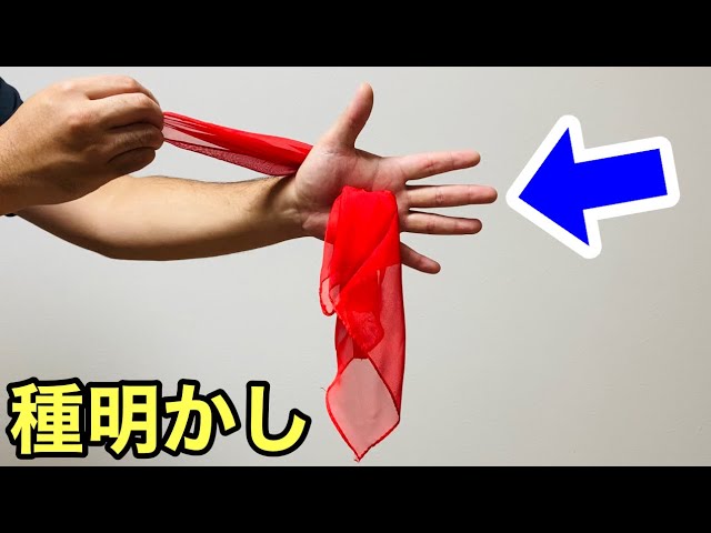 This is not a composite image. A handkerchief penetrates a hand