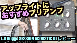 いい生音になる】L.R baggs Session Acoustic diのご紹介！アップ