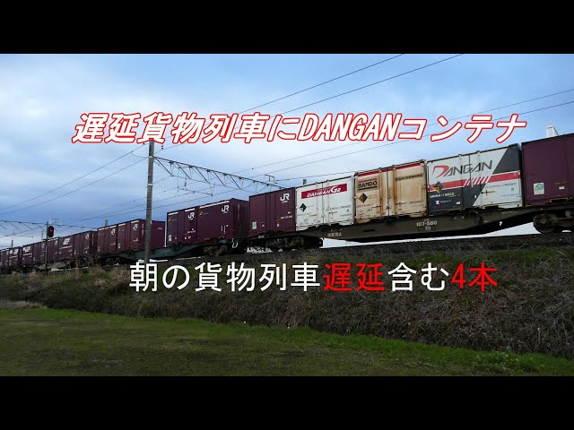 JR貨物 2024/04/04 また来た遅延深夜便 東海道本線 朝の貨物列車 1055