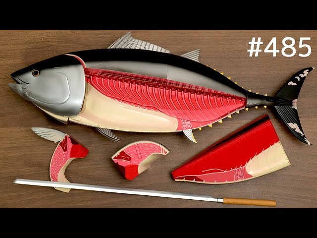 黒マグロ解体フィギュアをさばく / Dismantling Figure Bluefin Tuna