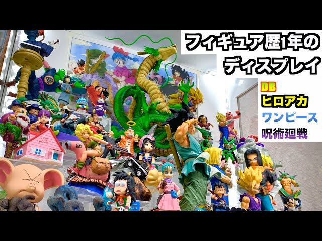 Display introduction of a figure collector with one year of