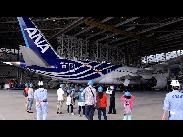 special livery] ANA Boeing 787-8 [JA801A] 特別塗装機 羽田 格納庫