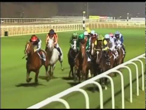 サラブレッドカード ステイゴールド(2001ドバイシーマクラシック