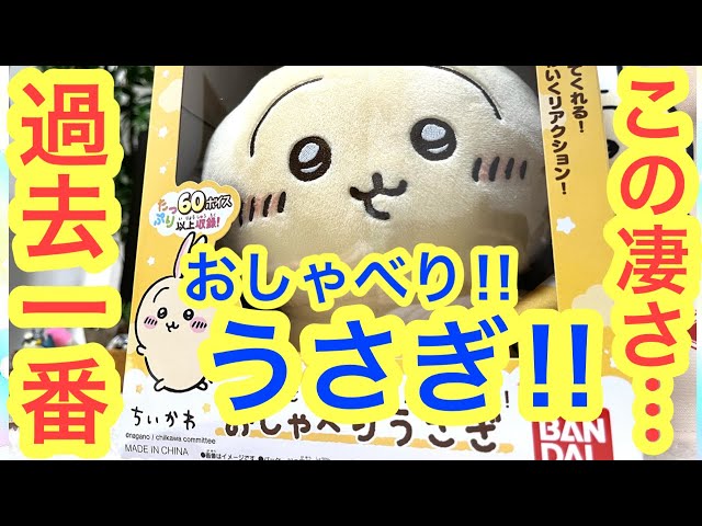 Chiikawa] The most chaotic conversation ever with Chiikawa the