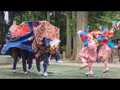 白川郷 どぶろく祭り 平瀬の獅子舞 2025年 / 岐阜県白川村平瀬 - YouTube