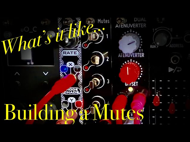 DivKid Mutes from Befaco - DIY Eurorack Modular Kit Build Video