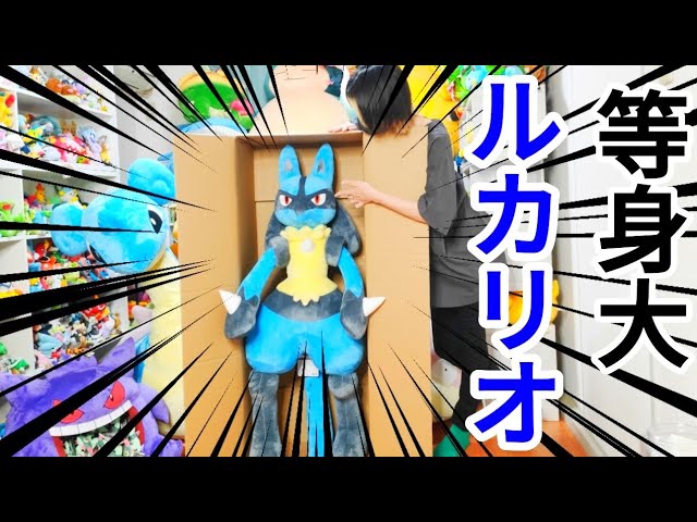 等身大ルカリオぬいぐるみ！！開封！！ - YouTube