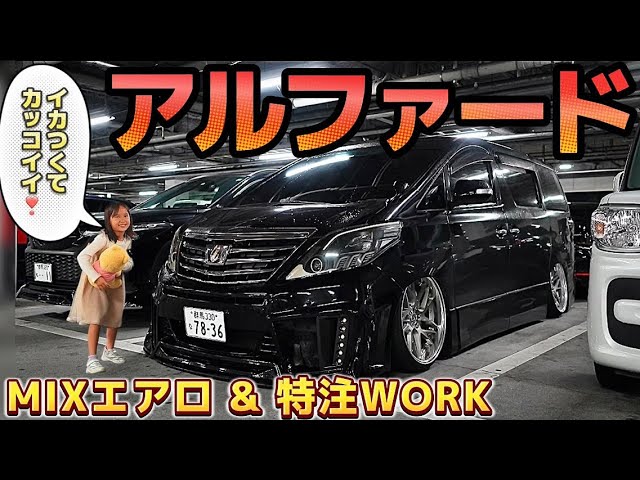 Dad's 2019 Alphard] Cool MIX aero camber specs! Sixth Sense