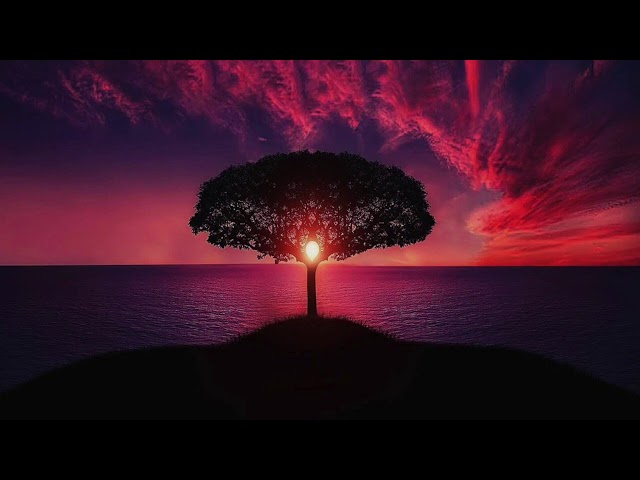 睡眠用】東方オルゴール 幽閉サレし幻想世界 / TOHO Relax - YouTube