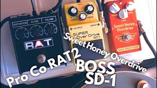 Pro Co RAT2 × BOSS SD1 × SWEET HONEY OVERDRIVE | How to Classic
