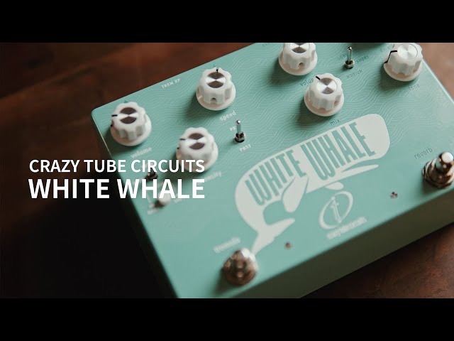 Quantaエフェクト・ラボ】