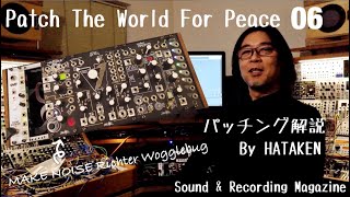 今月のモジュラー・シンセ：MAKE NOISE Richter Wogglebug 〜第6回