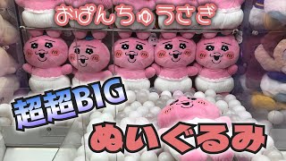 クレーンゲーム】おぱんちゅうさぎ 超超BIG DXぬいぐるみにチャレンジ