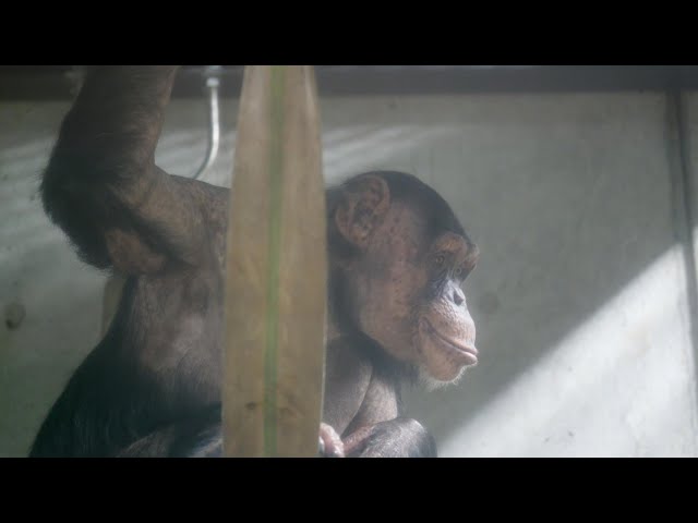 Nina can't stop fidgeting even during snack time Miyazaki City