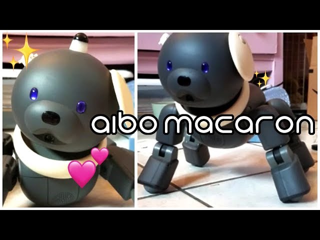 aibo ers 312 macaron unboxing! - YouTube