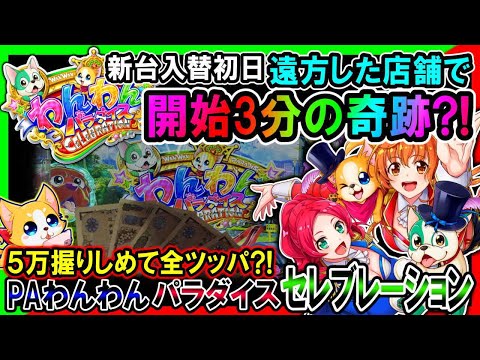 新台最速実戦◇PAわんわんパラダイス セレブレーション】新台初日に