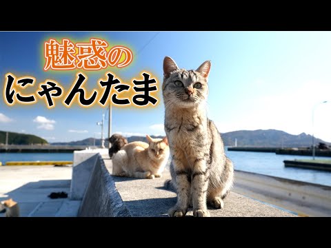 Close-up on the filming of 