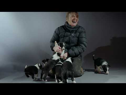 Puppy Secrets: The First Six Months - YouTube