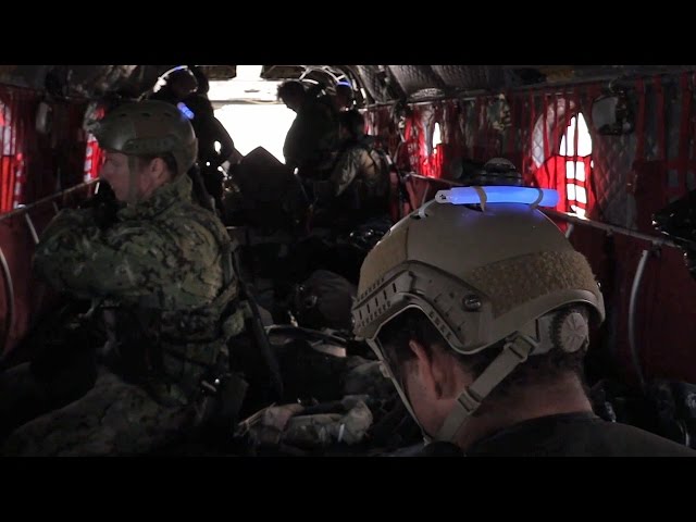 EAGLE イーグル USA NAVY アメリカ 特殊部隊 SEALS レア色 EAGLE