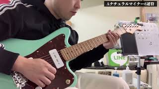 コスパ高！】バッカスジャズマスター Bacchus BJM-1-RSM/M SFG A