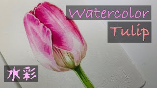 WATERCOLOR - 水彩 簡単なチューリップの描き方 / How to draw and