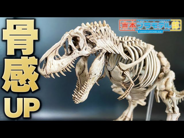 Enhance the bone texture with paint! Realistically painted