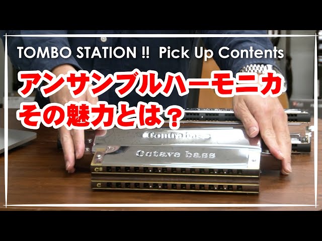 ハーモニカ】アンサンブルハーモニカとポケットシリーズの魅力【TOMBO