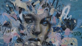 Shane Gaalaas Official Website