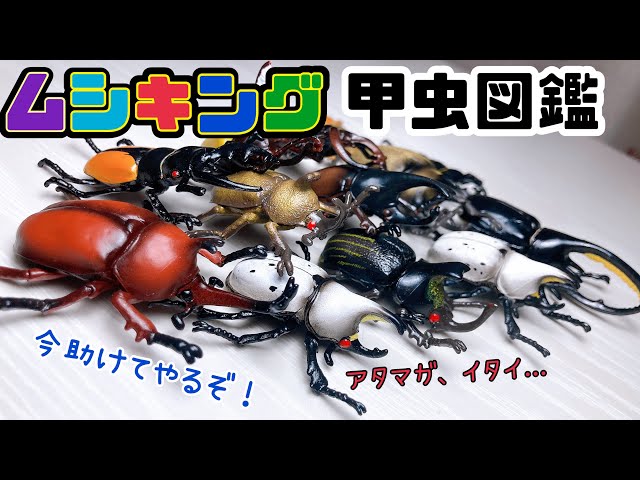 Mushiking] The nostalgic beetle encyclopedia figure was the best