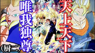 環境これ1枚で変わります】UGM9弾SECベジット＆ゴテンクスを使ってみた