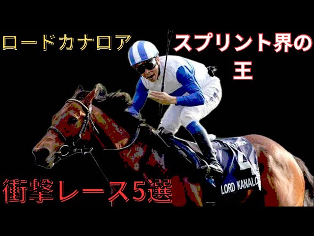 2012 Sprinters Stakes (GⅠ) | Lord Kanaloa | JRA Official - YouTube