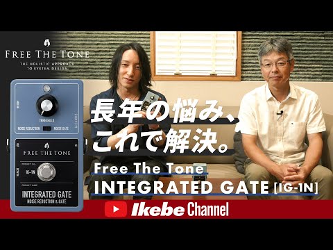 長年の悩み、これで解決。】FREE THE TONE INTEGRATED GATE [IG-1N