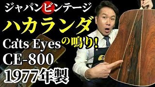 Cat's Eyes CE-800 (1977) (Acoustic guitar) - YouTube