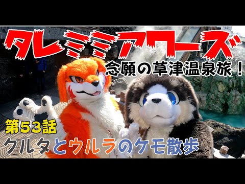ケモノ着ぐるみ】これぞ日本一！草津温泉街歩き【タレミミアワーズ第53