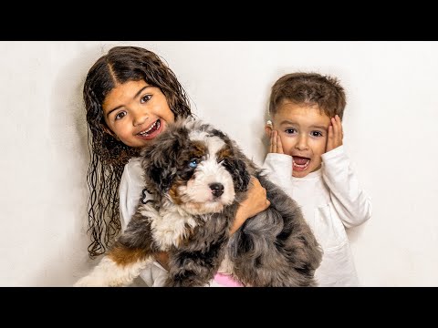 The Newest Member of our Family!!! - YouTube