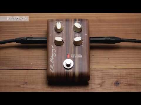 L.R.Baggs Align Series REVERB - 日本語字幕付 - YouTube