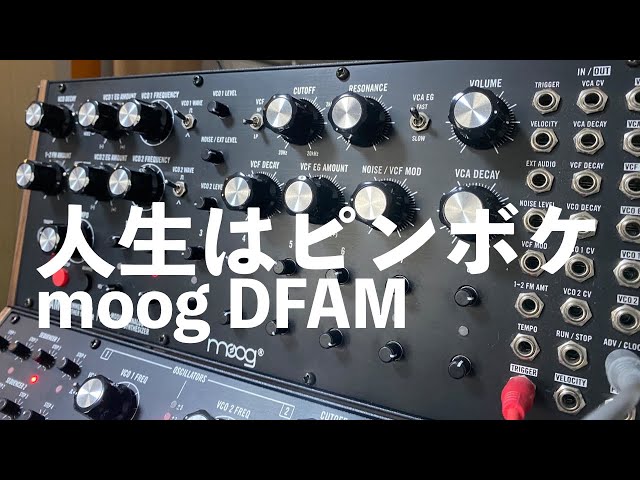 話題のmoog DFAM 本当面白いシンセなんです - YouTube