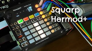 Squarp Instruments Hermod+ - Eurorack Module on ModularGrid