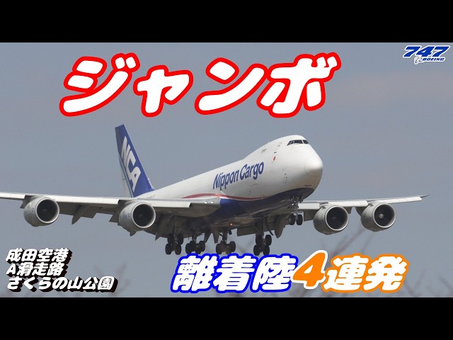 4K】成田空港 さくらの山公園 Aランに離着陸するジャンボ(Boeing747