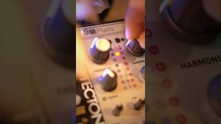 Mutable instruments Blinds - Eurorack Module on ModularGrid
