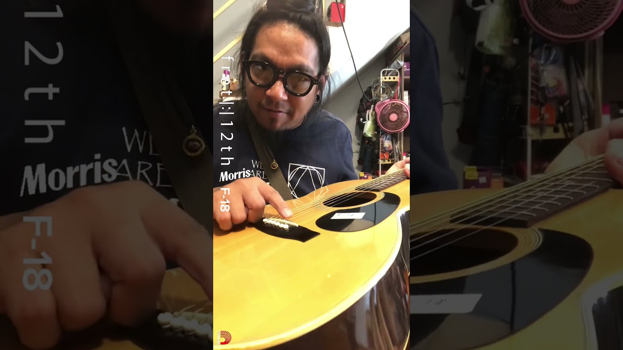 Morris : F-18 📦 #fret12th #guitar #morrisguitar #acousticguitar