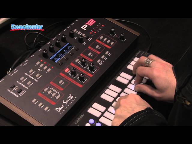 Dave Smith Instrumets Prophet 12 Module - Sweetwater at Winter